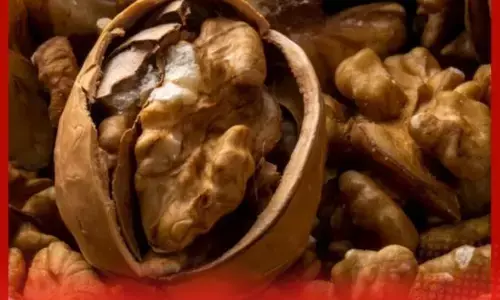 ਜੇਕਰ ਤੁਸੀਂ ਸਵੇਰੇ ਖਾਲੀ ਪੇਟ ਭਿੱਜੇ ਹੋਏ ਅਖਰੋਟ ਖਾਂਦੇ ਹੋ ਤਾਂ ਕੀ ਹੁੰਦਾ ਹੈ?