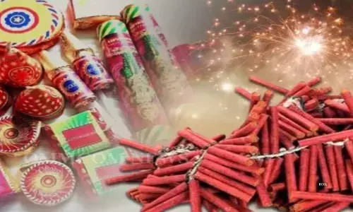 Diwali 2025: ਦੀਵਾਲੀ ਤੇ ਪਟਾਕਾ ਕਾਰੋਬਾਰੀਆਂ ਨੂੰ ਹੋਈ ਬੰਪਰ ਕਮਾਈ, ਦੇਸ਼ ਭਰ ਚ ਵਿਕੇ ਅਰਬਾਂ ਦੇ ਪਟਾਕੇ