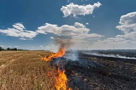 Stubble Burning: ਭਾਰਤ ਨਹੀਂ ਪਾਕਿਸਤਾਨ ਦੇ ਪੰਜਾਬ ਵਿੱਚ ਸਾੜੀ ਜਾ ਰਹੀ ਪਰਾਲੀ, ਹਵਾ ਵਿੱਚ ਘੁਲਿਆ ਜ਼ਹਿਰ