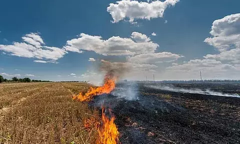 Stubble Burning: ਭਾਰਤ ਨਹੀਂ ਪਾਕਿਸਤਾਨ ਦੇ ਪੰਜਾਬ ਵਿੱਚ ਸਾੜੀ ਜਾ ਰਹੀ ਪਰਾਲੀ, ਹਵਾ ਵਿੱਚ ਘੁਲਿਆ ਜ਼ਹਿਰ