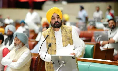 Punjab News: ਪੰਜਾਬ ਵਿੱਚ ਪਰਾਲੀ ਸਾੜਨ ਦੇ ਮਾਮਲਿਆਂ ਵਿੱਚ ਸੱਚਮੁੱਚ ਆਈ ਕਮੀ? ਜਾਣੋ ਕੀ ਕਹਿੰਦੇ ਅੰਕੜੇ