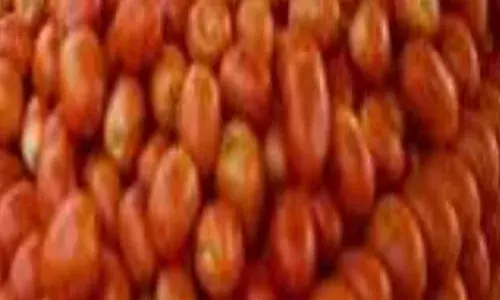 ਪਾਕਿਸਤਾਨ ਵਿਚ ਮੁਰਗੇ ਤੋਂ ਮਹਿੰਗੇ ਹੋਏ ਟਮਾਟਰ