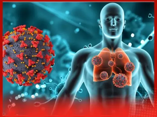 ਤੰਬਾਕੂ ਅਤੇ ਸਿਗਰਟ ਕਿਵੇਂ ਛੱਡੀਏ ? ਪੜ੍ਹੋ ਨੁਕਤੇ