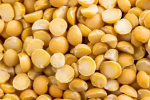 ਭਾਰਤ ਨੇ ਕੈਨੇਡੀਅਨ ਦਾਲ ’ਤੇ ਲਾਈ 30 ਫ਼ੀ ਸਦੀ ਟੈਰਿਫ਼