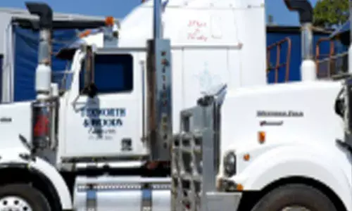 ਅਮਰੀਕਾ : 52 ਟ੍ਰਾਂਸਪੋਰਟ ਕੰਪਨੀਆਂ ਬੰਦ, ਸੈਂਕੜੇ ਡਰਾਈਵਰ ਵਿਹਲੇ