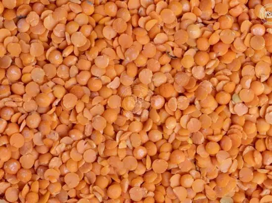 ਇਸ ਦਾਲ ਦੀ ਸਬਜੀ ਨੂੰ ਮਾਸਾਹਾਰੀ ਕਿਉਂ ਮੰਨਿਆ ਜਾਂਦਾ ਹੈ ?