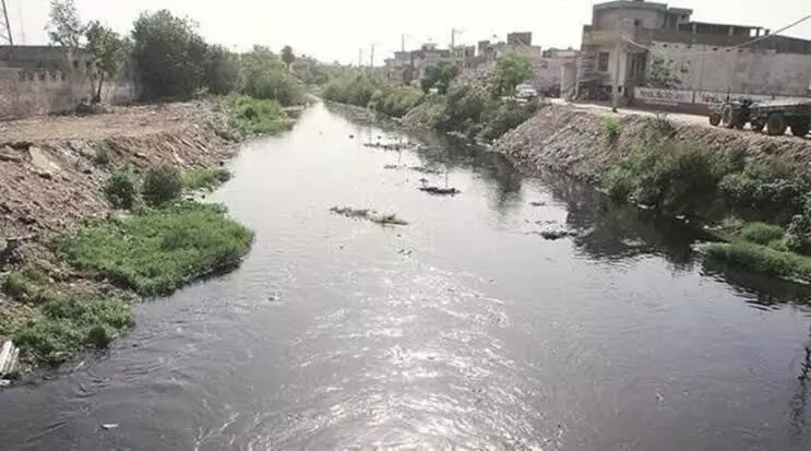 Punjab News: ਲੁਧਿਆਣਾ ਦੇ ਬੁੱਢਾ ਦਰਿਆ ਵਿੱਚ ਮਿਲੀ ਵਿਅਕਤੀ ਦੀ ਲਾਸ਼, ਨਹੀਂ ਹੋ ਸਕੀ ਪਛਾਣ