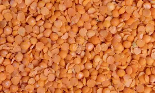 ਇਸ ਦਾਲ ਦੀ ਸਬਜੀ ਨੂੰ ਮਾਸਾਹਾਰੀ ਕਿਉਂ ਮੰਨਿਆ ਜਾਂਦਾ ਹੈ ?