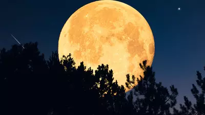 Supermoon: 5 ਨਵੰਬਰ ਨੂੰ ਅਸਮਾਨ ਚ ਨਜ਼ਰ ਆਵੇਗਾ ਅਦਭੁਤ ਨਜ਼ਾਰਾ, ਜਾਣੋ ਭਾਰਤ ਵਿੱਚ ਕਦੋਂ ਦਿਸੇਗਾ