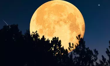 Supermoon: 5 ਨਵੰਬਰ ਨੂੰ ਅਸਮਾਨ ਚ ਨਜ਼ਰ ਆਵੇਗਾ ਅਦਭੁਤ ਨਜ਼ਾਰਾ, ਜਾਣੋ ਭਾਰਤ ਵਿੱਚ ਕਦੋਂ ਦਿਸੇਗਾ