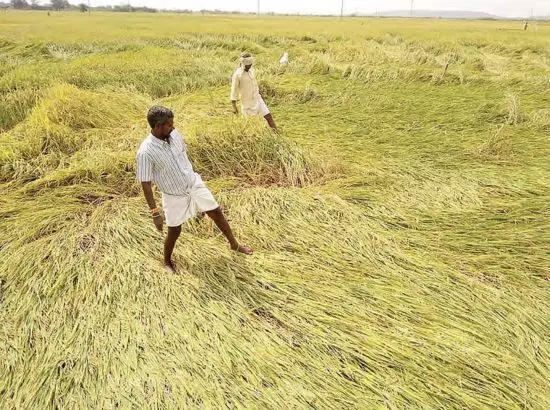 ਫ਼ਸਲ ਤਬਾਹ ਹੋਣ ਤੇ ਕਿਸਾਨ ਨੂੰ ਸਰਕਾਰ ਤੋਂ ਮਿਲਿਆ ਸਿਰਫ਼ ₹2 ਮੁਆਵਜ਼ਾ