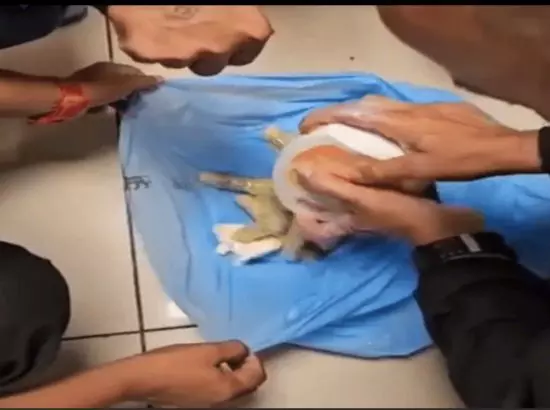 ਚਿਪਸ ਦੇ ਪੈਕੇਟਾਂ ਤੇ ਸ਼ੈਂਪੂ ਵਿੱਚੋਂ 13 ਕਰੋੜ ਦਾ ਨਸ਼ਾ ਬਰਾਮਦ