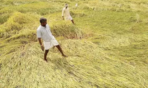 ਫ਼ਸਲ ਤਬਾਹ ਹੋਣ ਤੇ ਕਿਸਾਨ ਨੂੰ ਸਰਕਾਰ ਤੋਂ ਮਿਲਿਆ ਸਿਰਫ਼ ₹2 ਮੁਆਵਜ਼ਾ