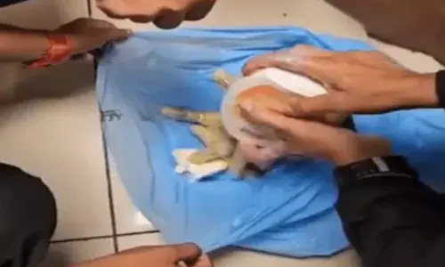 ਚਿਪਸ ਦੇ ਪੈਕੇਟਾਂ ਤੇ ਸ਼ੈਂਪੂ ਵਿੱਚੋਂ 13 ਕਰੋੜ ਦਾ ਨਸ਼ਾ ਬਰਾਮਦ