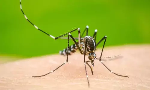 Dengue: ਦਿੱਲੀ ਵਿੱਚ ਡੇਂਗੂ ਦੀ ਦਹਿਸ਼ਤ, 2 ਲੋਕਾਂ ਦੀ ਮੌਤ, ਹੁਣ ਤੱਕ 136 ਮਾਮਲੇ