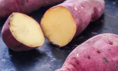 ਸ਼ਕਰਕੰਦੀ ਖਾਣ ਦਾ ਸਹੀ ਤਰੀਕਾ ਕੀ ਹੈ?