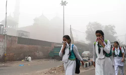 Delhi Pollution: ਦਿੱਲੀ ਦੀ ਹਵਾ ਹੋਈ ਪੂਰੀ ਤਰ੍ਹਾਂ ਜ਼ਹਿਰੀਲੀ, ਹਵਾ ਚ ਖ਼ਤਰਨਾਕ ਧਾਤਾਂ ਦੀ ਮੌਜੂਦਗੀ
