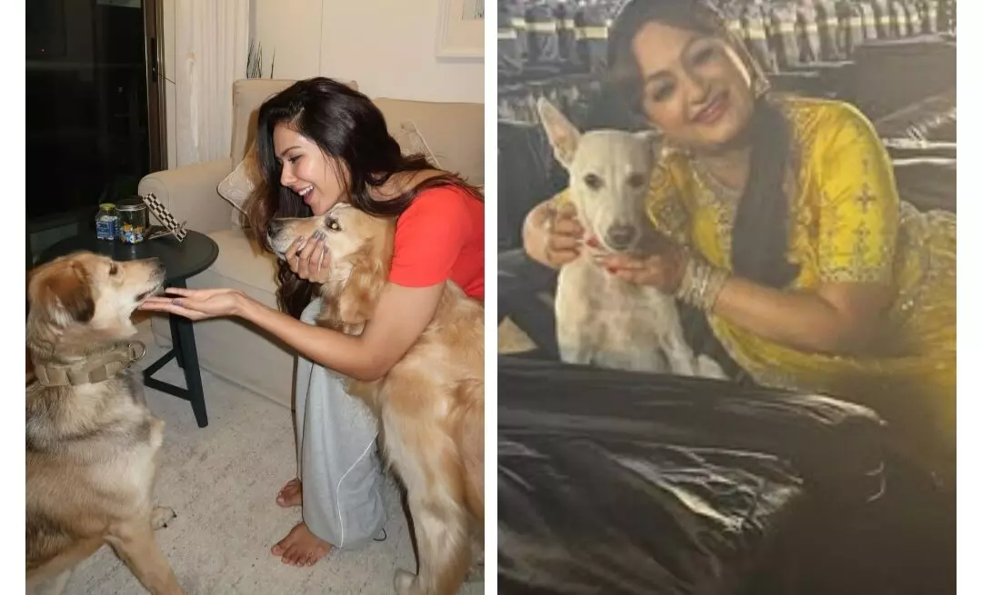 Indian Dogs: ਸੋਨਮ ਬਾਜਵਾ ਤੋਂ ਉਪਾਸਨਾ ਸਿੰਘ ਪੰਜਾਬੀ ਅਦਾਕਾਰਾਂ ਨੇ ਬੇਜ਼ੁਬਾਨ ਜਾਨਵਰਾਂ ਦੇ ਹੱਕ ਚ ਚੁੱਕੀ ਆਵਾਜ਼