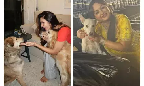 Indian Dogs: ਸੋਨਮ ਬਾਜਵਾ ਤੋਂ ਉਪਾਸਨਾ ਸਿੰਘ ਪੰਜਾਬੀ ਅਦਾਕਾਰਾਂ ਨੇ ਬੇਜ਼ੁਬਾਨ ਜਾਨਵਰਾਂ ਦੇ ਹੱਕ ਚ ਚੁੱਕੀ ਆਵਾਜ਼