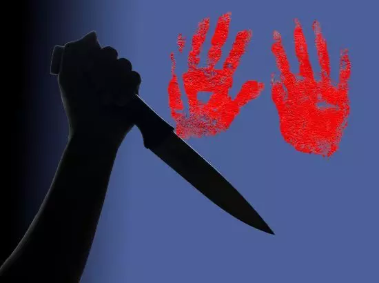 ਪਤੀਆਂ ਦੇ ਵਾਰ-ਵਾਰ ਹੋ ਰਹੇ ਕਤਲਾਂ ਤੋਂ ਡਰਿਆ ਸ਼ਹਿਰ ਪਤੀਆਂ ਦੇ ਵਾਰ-ਵਾਰ ਹੋ ਰਹੇ ਕਤਲਾਂ ਤੋਂ ਡਰਿਆ ਸ਼ਹਿਰ