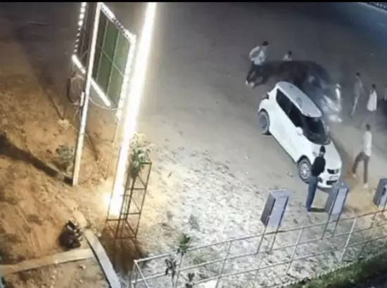 ਪਾਰਕਿੰਗ ਵਿਵਾਦ ਤੇ ਸ਼ਖ਼ਸ ਨੇ ਕਾਰ ਹੇਠ ਦਰੜ ਦਿੱਤਾ ਪ੍ਰਾਪਰਟੀ ਡੀਲਰ ਪਾਰਕਿੰਗ ਵਿਵਾਦ ਤੇ ਸ਼ਖ਼ਸ ਨੇ ਕਾਰ ਹੇਠ ਦਰੜ ਦਿੱਤਾ ਪ੍ਰਾਪਰਟੀ ਡੀਲਰ