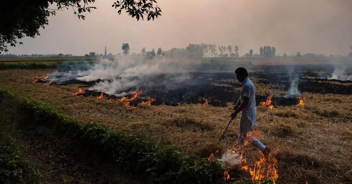 Punjab News: ਪੰਜਾਬ ਜਿੰਨਾ ਪ੍ਰਦੂਸ਼ਣ ਕੀਤੇ ਨਹੀਂ! ਹਰ ਰੋਜ਼ ਜ਼ਹਿਰੀਲੀ ਹਵਾ ਲੈਕੇ ਰਹੀ 130 ਜਾਨਾਂ