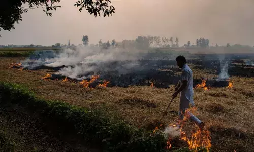 Punjab News: ਪੰਜਾਬ ਜਿੰਨਾ ਪ੍ਰਦੂਸ਼ਣ ਕੀਤੇ ਨਹੀਂ! ਹਰ ਰੋਜ਼ ਜ਼ਹਿਰੀਲੀ ਹਵਾ ਲੈਕੇ ਰਹੀ 130 ਜਾਨਾਂ