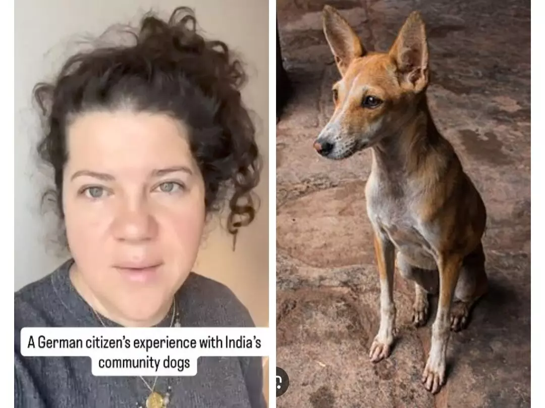 Indian Dogs: ਆਵਾਰਾ ਕੁੱਤਿਆਂ ਬਾਰੇ ਜਰਮਨੀ ਤੋਂ ਆਈ ਔਰਤ ਨੇ ਕੀ ਕਿਹਾ, ਦੇਖੋ ਇਸ ਵੀਡਿਓ ਵਿੱਚ