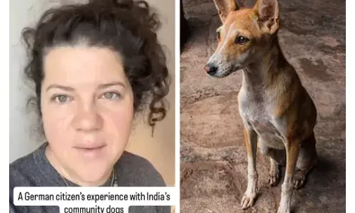 Indian Dogs: ਆਵਾਰਾ ਕੁੱਤਿਆਂ ਬਾਰੇ ਜਰਮਨੀ ਤੋਂ ਆਈ ਔਰਤ ਨੇ ਕੀ ਕਿਹਾ, ਦੇਖੋ ਇਸ ਵੀਡਿਓ ਵਿੱਚ
