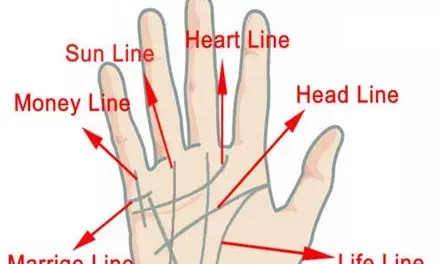 Palmistry: ਹੱਥ ਵਿੱਚ ਇਹ ਲਾਈਨ ਹੈ, ਤਾਂ ਤੁਹਾਨੂੰ ਮਿਲੇਗਾ ਅਮੀਰ ਤੇ ਪਿਆਰ ਕਰਨ ਵਾਲਾ ਜੀਵਨਸਾਥੀ