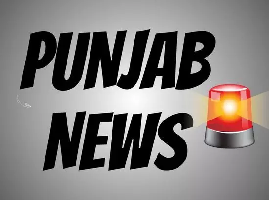 ਪੰਜਾਬ-ਚੰਡੀਗੜ੍ਹ ਦੇ 13 IPS ਅਫਸਰ ਜਾਂਚ ਦੇ ਰਡਾਰ ਤੇ, ਜਾਣੋ ਕੀ ਹੈ ਮਾਮਲਾ ?