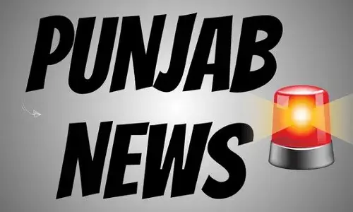 ਪੰਜਾਬ-ਚੰਡੀਗੜ੍ਹ ਦੇ 13 IPS ਅਫਸਰ ਜਾਂਚ ਦੇ ਰਡਾਰ ਤੇ, ਜਾਣੋ ਕੀ ਹੈ ਮਾਮਲਾ ?