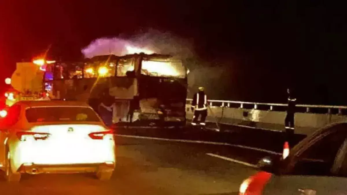 Saudi Arabia: ਸਾਊਦੀ ਅਰਬ ਦੇ ਮਨਹੂਸ ਐਕਸੀਡੈਂਟ ਨੇ ਖਤਮ ਕੀਤੀਆਂ 3 ਪੀੜ੍ਹੀਆਂ, ਇੱਕੋ ਪਰਿਵਾਰ ਦੇ 18 ਦੀ ਮੌਤ