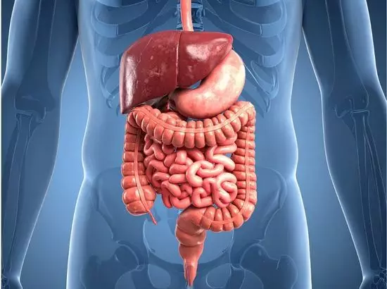 ਜਿਗਰ ਦੇ ਨੁਕਸਾਨ ਦੇ ਸ਼ੁਰੂਆਤੀ ਲੱਛਣ: ਫੈਟੀ ਲਿਵਰ ਦੇ 7 ਚੇਤਾਵਨੀ ਸੰਕੇਤ