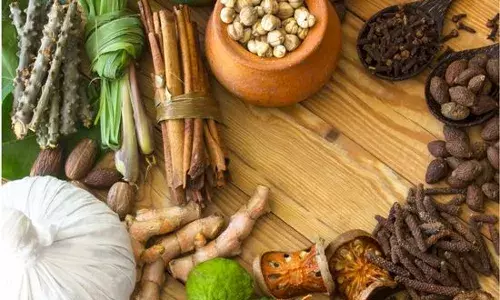 ਲੋਕਾਂ ਦਾ ਆਯੁਰਵੈਦ ਵਿਚ ਵੱਧ ਰਿਹੇ ਰੁਝਾਣ