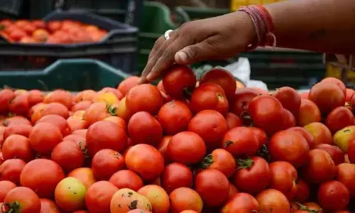 Tomato: ਟਮਾਟਰ ਨੇ ਖ਼ਰਾਬ ਕੀਤਾ ਰਸੋਈ ਦਾ ਜ਼ਾਇਕਾ, ਅਸਮਾਨੀਂ ਪਹੁੰਚੀਆਂ ਕੀਮਤਾਂ