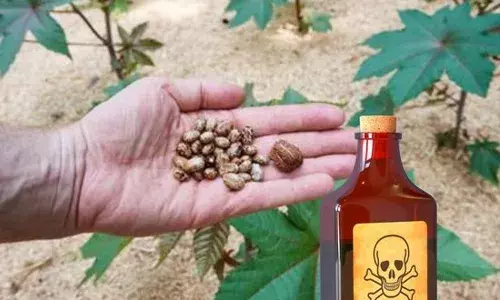 ਦੇਸ਼ ਭਰ ਵਿੱਚ ਰਸਾਇਣਕ ਹਮਲੇ ਦੀ ਯੋਜਨਾ ਦਾ ਖੁਲਾਸਾ