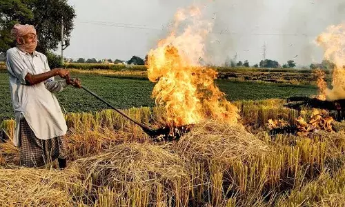 Punjab News: ਦਿੱਲੀ ਵਿੱਚ ਪ੍ਰਦੂਸ਼ਣ ਲਈ ਪੰਜਾਬ ਜ਼ਿੰਮੇਵਾਰ ਨਹੀਂ, ਇਹ ਹੈ ਸਬੂਤ