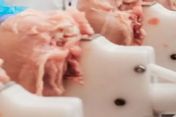 ਆਰਜ਼ੀ ਵਿਦੇਸ਼ੀ ਕਾਮਿਆਂ ਨਾਲ ਗੁਲਾਮਾਂ ਵਾਲਾ ਸਲੂਕ