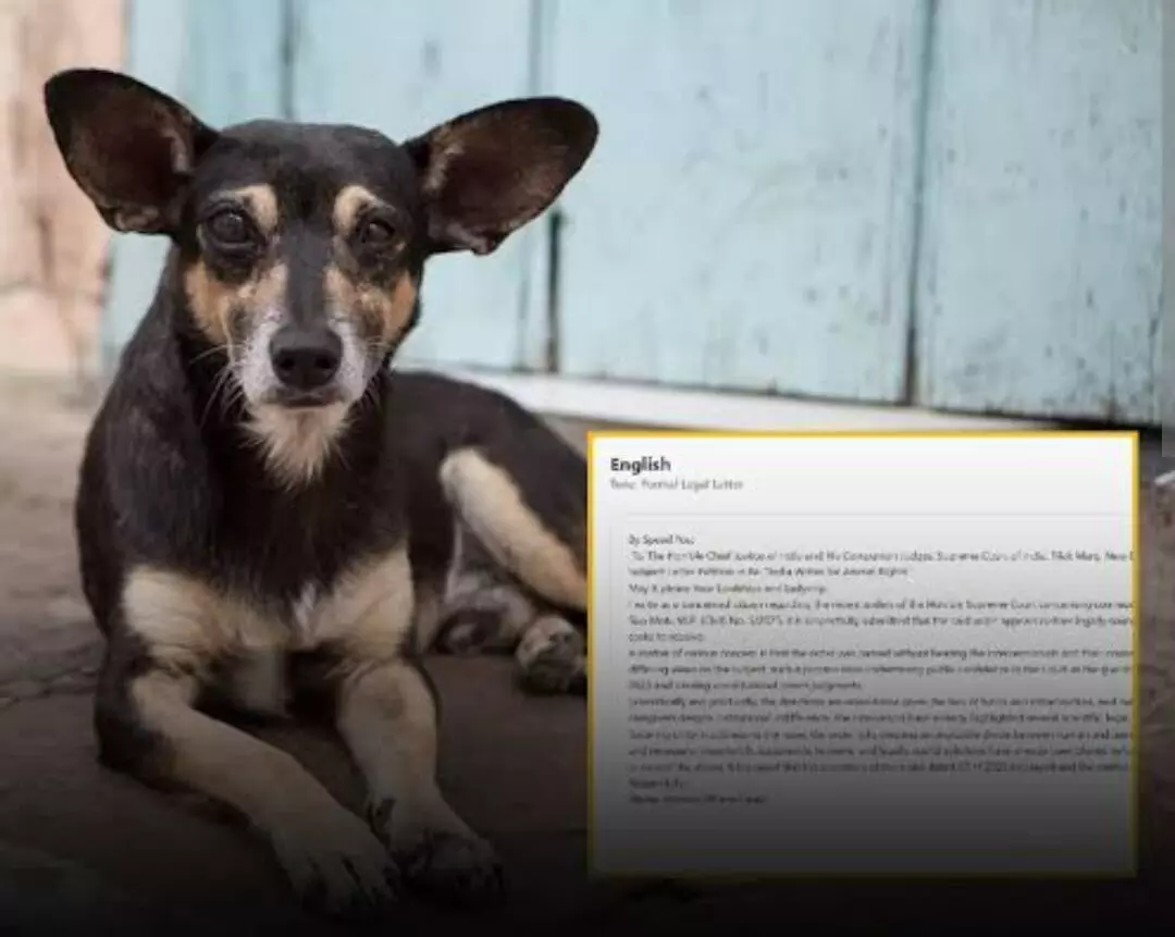 Street Dogs: ਆਵਾਰਾ ਕੁੱਤਿਆਂ ਦੇ ਹੱਕ ਚ ਉੱਤਰੇ ਲੋਕ, ਇੱਕ ਲੱਖ ਤੋਂ ਵੱਧ ਲੋਕਾਂ ਨੇ ਸੁਪਰੀਮ ਕੋਰਟ ਨੂੰ ਲਿਖੀ ਚਿੱਠੀ