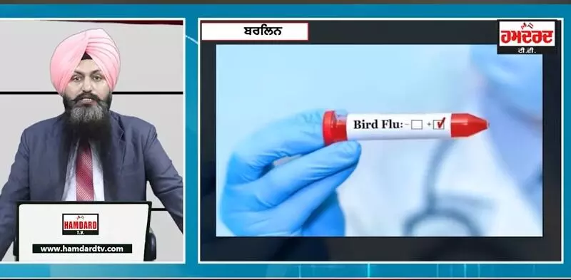 ਯੂਰਪ ਅਤੇ North America ਵਿਚ Bird Flu ਦਾ ਖੌਫ਼, 4 ਗੁਣਾ ਤੇਜ਼ੀ ਨਾਲ ਫੈਲ ਰਿਹਾ ਵਾਇਰਸ