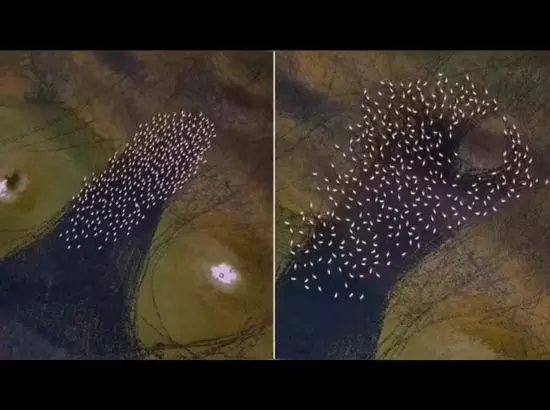 ਈਰਾਨ ਦੀ ਇੱਕ ਝੀਲ ਤੇ ਰਹੱਸਮਈ ਗੋਲਾਕਾਰ ਪੈਟਰਨ ਵੇਖ ਲੋਕਾਂ ਦੇ ਉਡੇ ਹੋਸ਼ (Video)