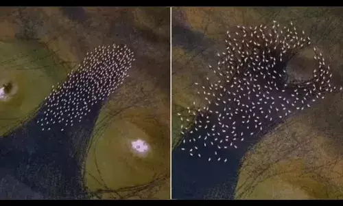 ਈਰਾਨ ਦੀ ਇੱਕ ਝੀਲ ਤੇ ਰਹੱਸਮਈ ਗੋਲਾਕਾਰ ਪੈਟਰਨ ਵੇਖ ਲੋਕਾਂ ਦੇ ਉਡੇ ਹੋਸ਼ (Video)