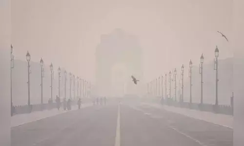 Delhi Pollution: ਦਿੱਲੀ ਵਿੱਚ ਪ੍ਰਦੂਸ਼ਣ ਲਈ ਪੰਜਾਬ ਜ਼ਿੰਮੇਵਾਰ ਨਹੀਂ, ਰਿਪੋਰਟ ਵਿੱਚ ਵੱਡਾ ਖ਼ੁਲਾਸਾ