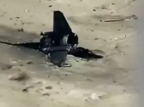 ਅਮਰੀਕੀ ਲੜਾਕੂ ਜਹਾਜ਼ ਕਰੈਸ਼, ਲੱਗੀ ਅੱਗ, ਅੰਬਰ ਨੂੰ ਉਠਿਆ ਗਾੜਾ ਧੁੰਆ (Video)