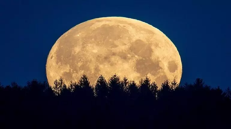 Supermoon 2025: ਅੱਜ ਰਾਤ ਨਜ਼ਰ ਆਵੇਗਾ ਸਾਲ 2025 ਦਾ ਆਖ਼ਰੀ ਸੁਪਰਮੂਨ, ਅਸਮਾਨ ਵਿੱਚ ਦਿਖੇਗਾ ਖੂਬਸੂਰਤ ਨਜ਼ਾਰਾ