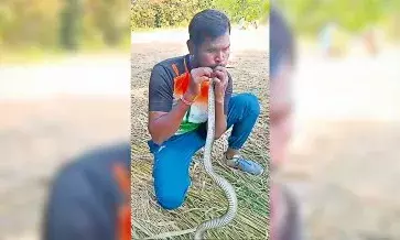 Trending News: ਕਰੰਟ ਲੱਗਣ ਨਾਲ ਬੇਹੋਸ਼ ਹੋਇਆ ਸੱਪ ਤਾਂ ਨੌਜਵਾਨ ਨੇ ਆਪਣੇ ਸਾਹ ਦੇ ਕੇ ਬਚਾਈ ਜਾਨ