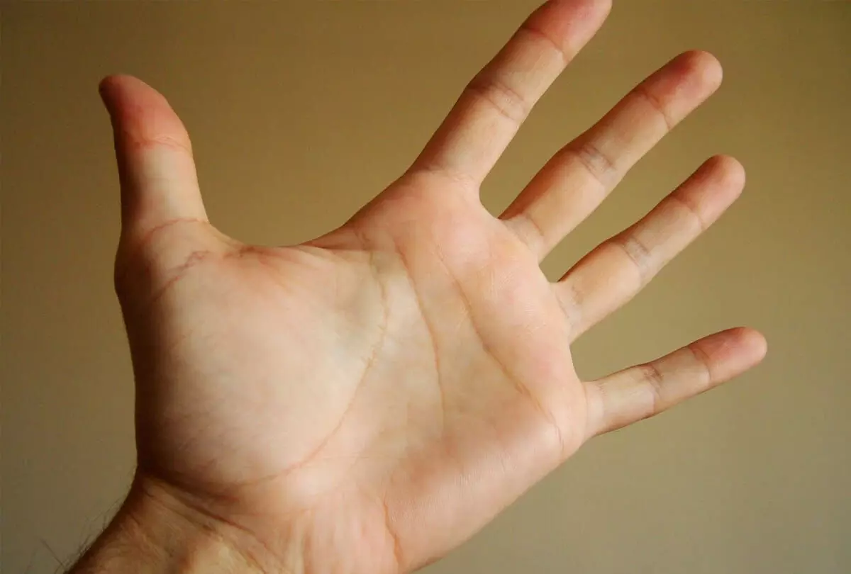 Palmistry: ਹਥੇਲੀ ਵਿੱਚ ਇਹ ਲਾਈਨ ਹੈ ਤਾਂ ਤੁਹਾਡੇ ਕੋਲ ਹੋਵੇਗੀ ਬੇਸ਼ੁਮਾਰ ਦੌਲਤ, ਦੁਨੀਆ ਵਿੱਚ ਹੋਵੇਗਾ ਨਾਮ Palmistry: ਹਥੇਲੀ ਵਿੱਚ ਇਹ ਲਾਈਨ ਹੈ ਤਾਂ ਤੁਹਾਡੇ ਕੋਲ ਹੋਵੇਗੀ ਬੇਸ਼ੁਮਾਰ ਦੌਲਤ, ਦੁਨੀਆ ਵਿੱਚ ਹੋਵੇਗਾ ਨਾਮ