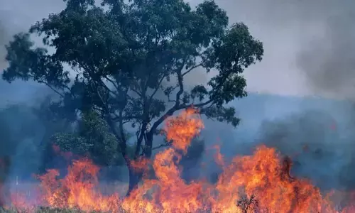Australia: ਆਸਟ੍ਰੇਲੀਆ ਦੇ ਜੰਗਲਾਂ ਵਿੱਚ ਲੱਗੀ ਭਿਆਨਕ ਅੱਗ, 40 ਘਰ ਸੜ ਕੇ ਸੁਆਹ