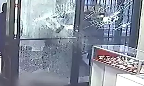 ਕੈਨੇਡਾ ’ਚ ਕਤਲ ਅਤੇ ਲੁੱਟਾਂ-ਖੋਹਾਂ ਕਰਨ ਵਾਲੇ ਗਿਰੋਹ ਦੇ 13 ਮੈਂਬਰ ਕਾਬੂ